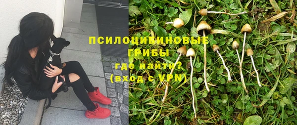 тгк Фёдоровский