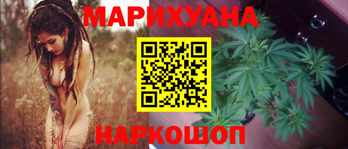 Конопля план Новый Уренгой
